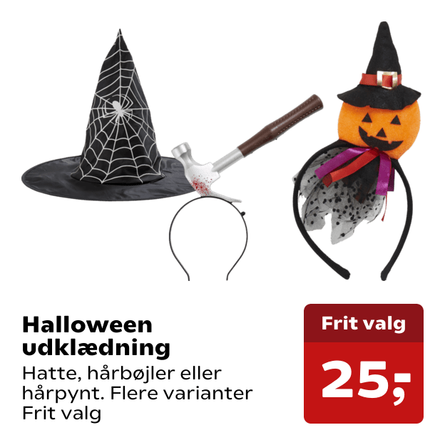 Halloween udklædning