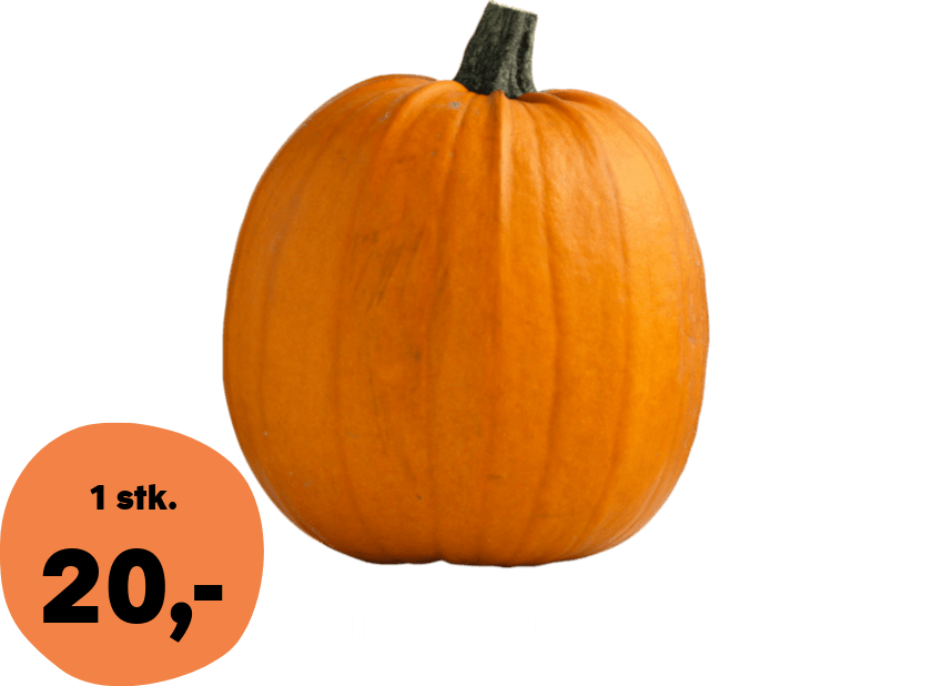 Halloween græskar