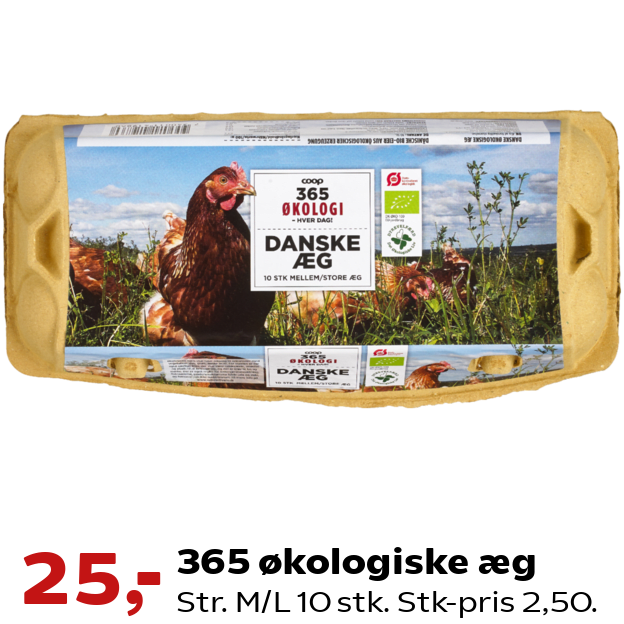 365 økologiske æg