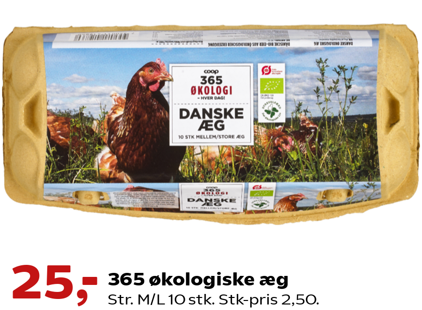 365 økologiske æg