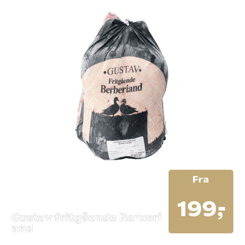Gustav fritgående Berberi and