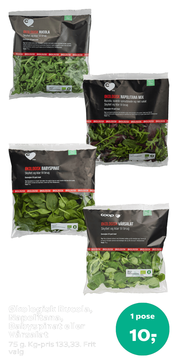 Økologisk Rucola, Napolitana, Babyspinat eller Vårsalat