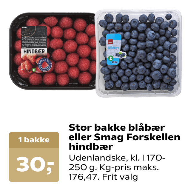 Stor bakke blåbær eller Smag Forskellen hindbær