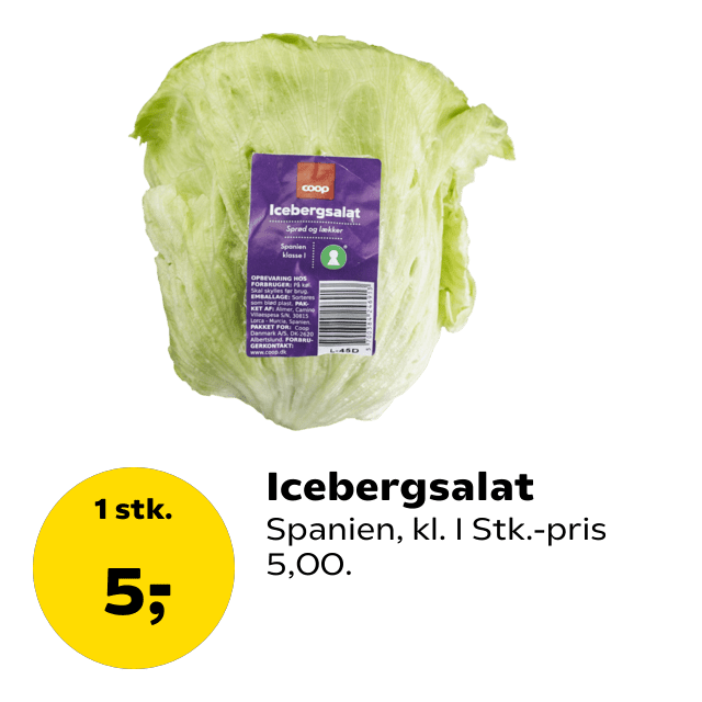 Icebergsalat