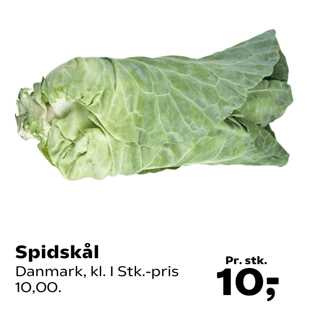Spidskål