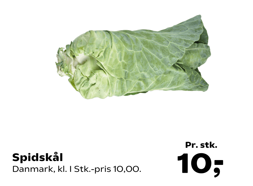 Spidskål
