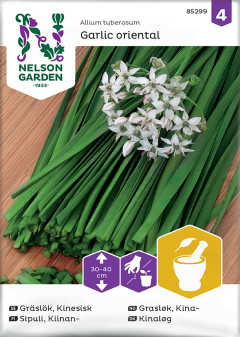 Gräslök, Kinesisk, Garlic Oriental