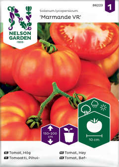 Tomat Biff Marmande VR