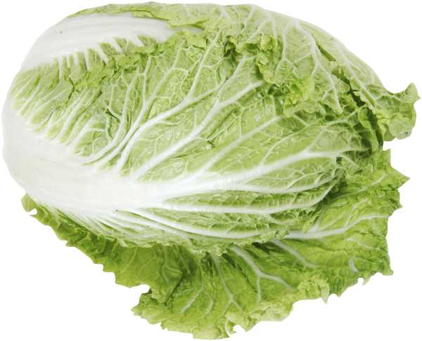 Salladskål