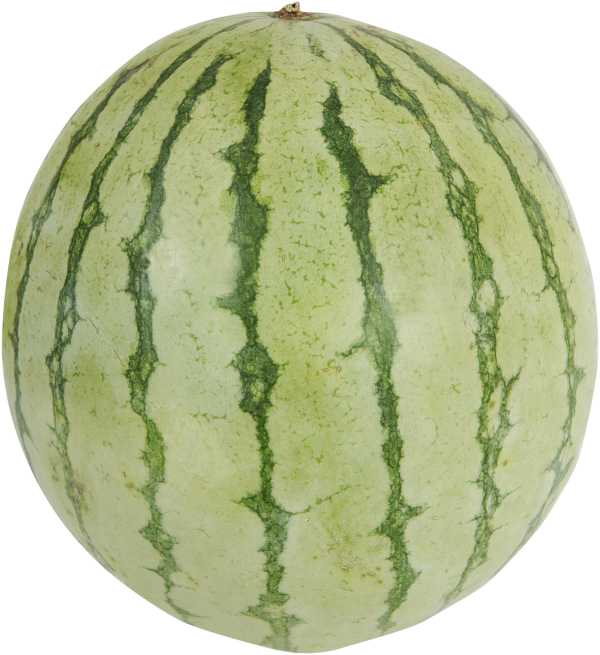 Vattenmelon Eko
