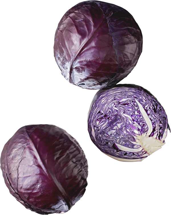Rödkål Eko