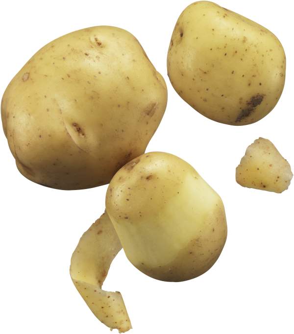 Potatis Fast