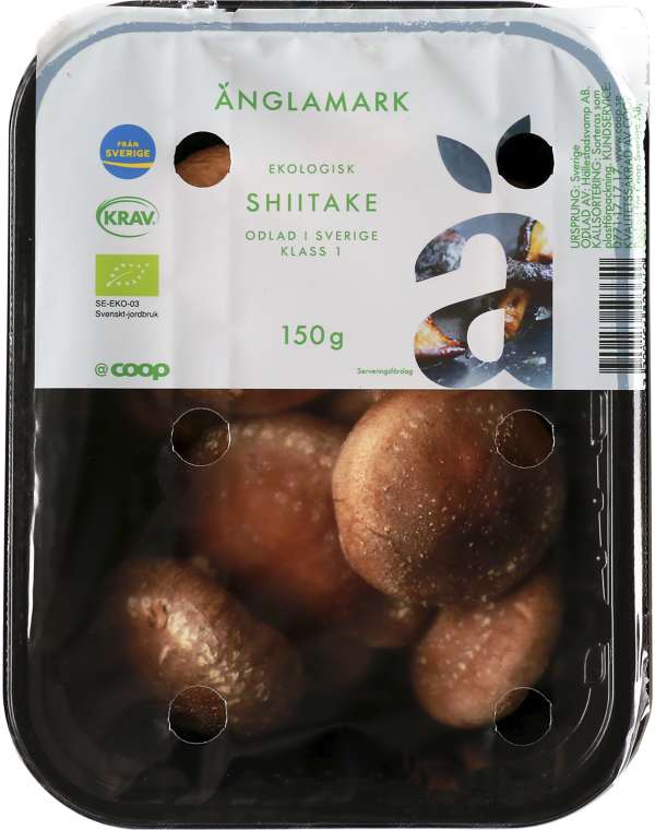 Shiitake Eko