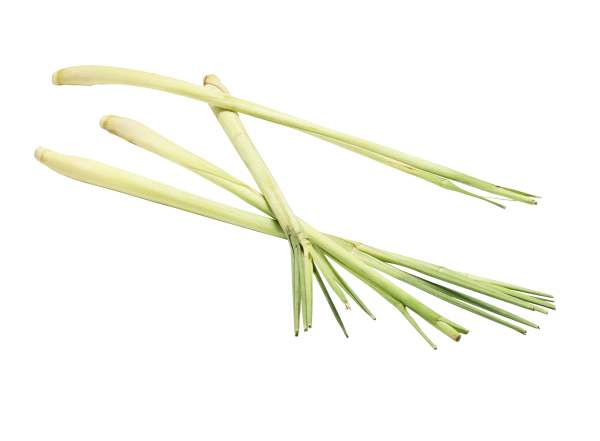 Citrongräs