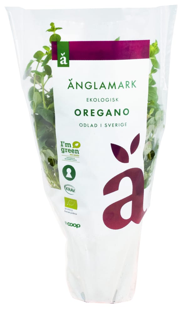 Oregano Eko Kruka