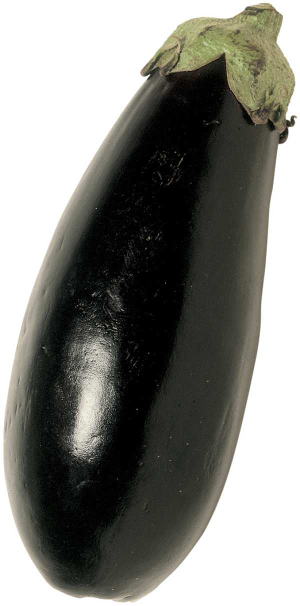 Aubergine Eko