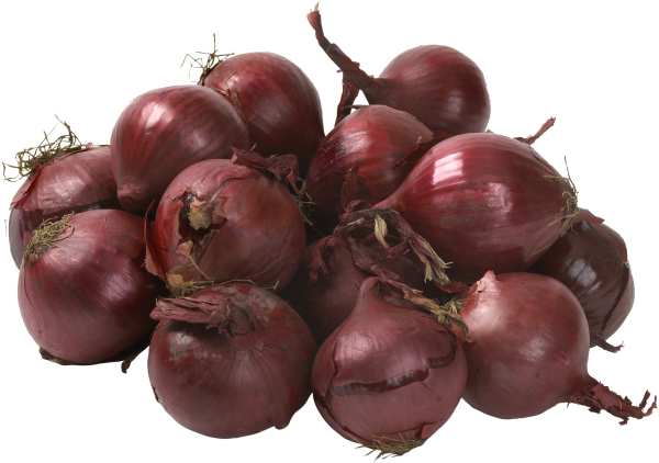 Röd Lök