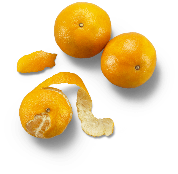 Clementiner