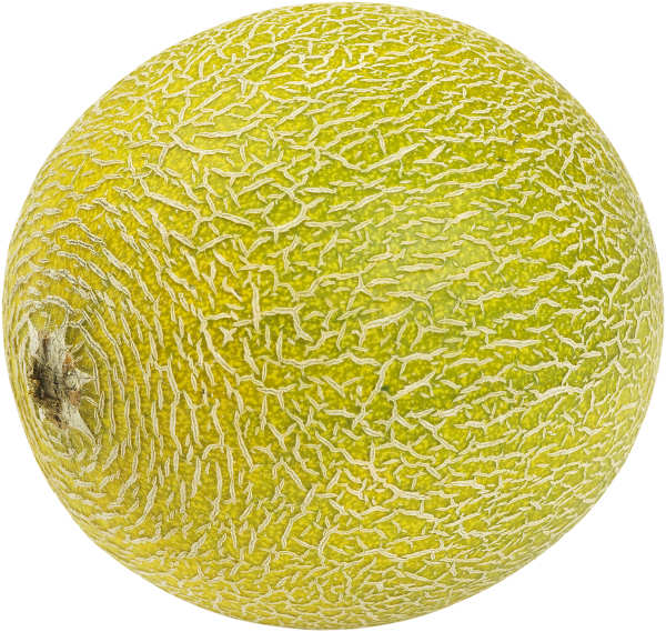 Melon