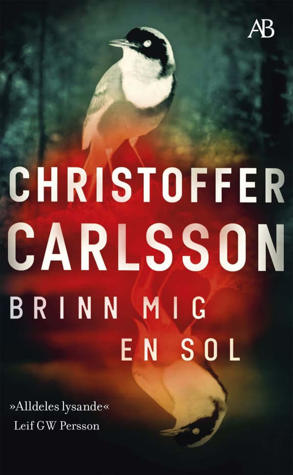 Brinn Mig En Sol