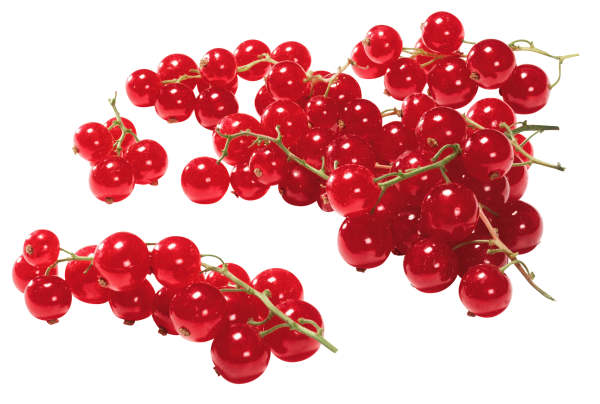 Röda Vinbär 125Gr