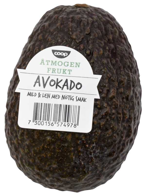 Avokado Mogen