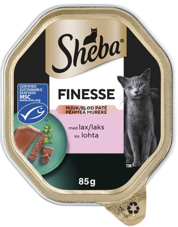 Kattmat Lax Mousse