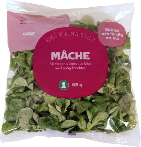 Mâche