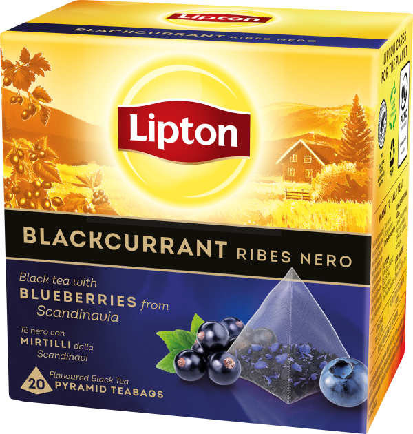 Svart te Blackcurrant 20-pack