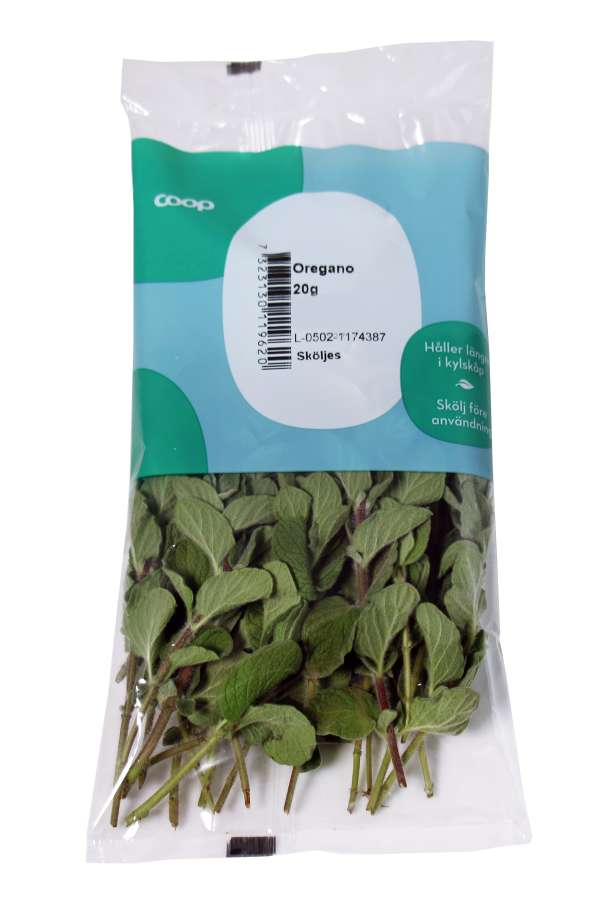 Oregano