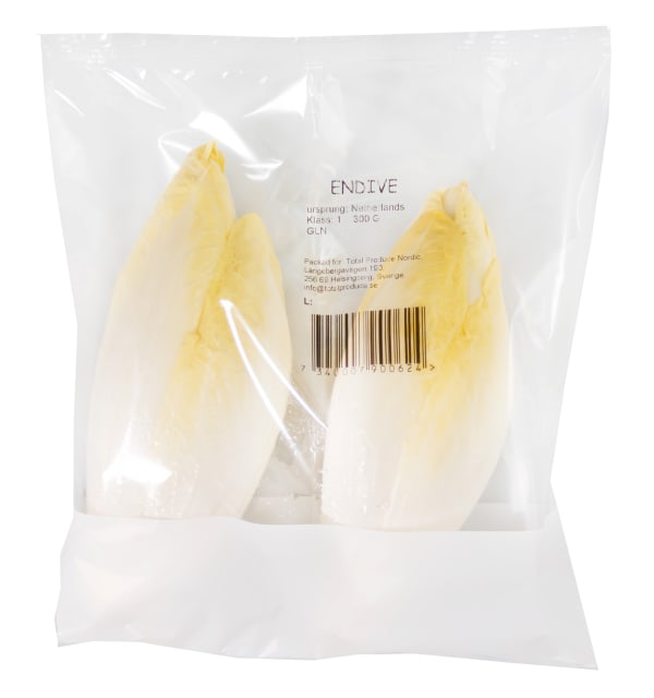 Sallat Endive