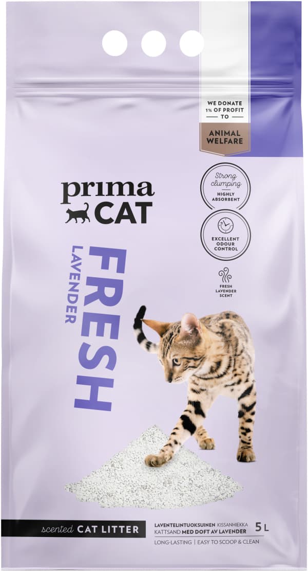 Kattsand
