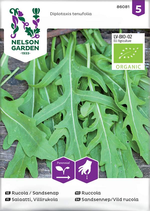 Rucola / Sandsenap, Organic