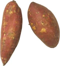 Sötpotatis