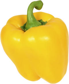 Paprika Gul