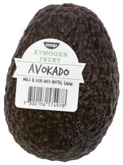 Avokado Mogen