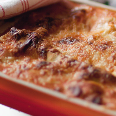 Lasagne med tacokyckling