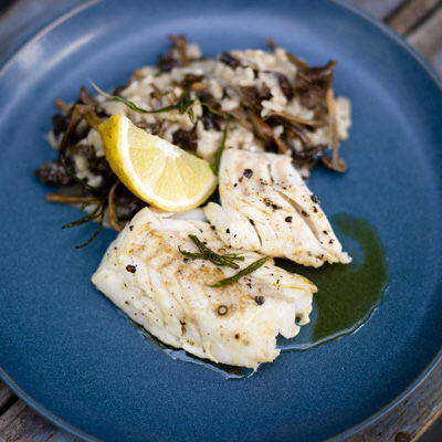 Kantarellrisotto med sej