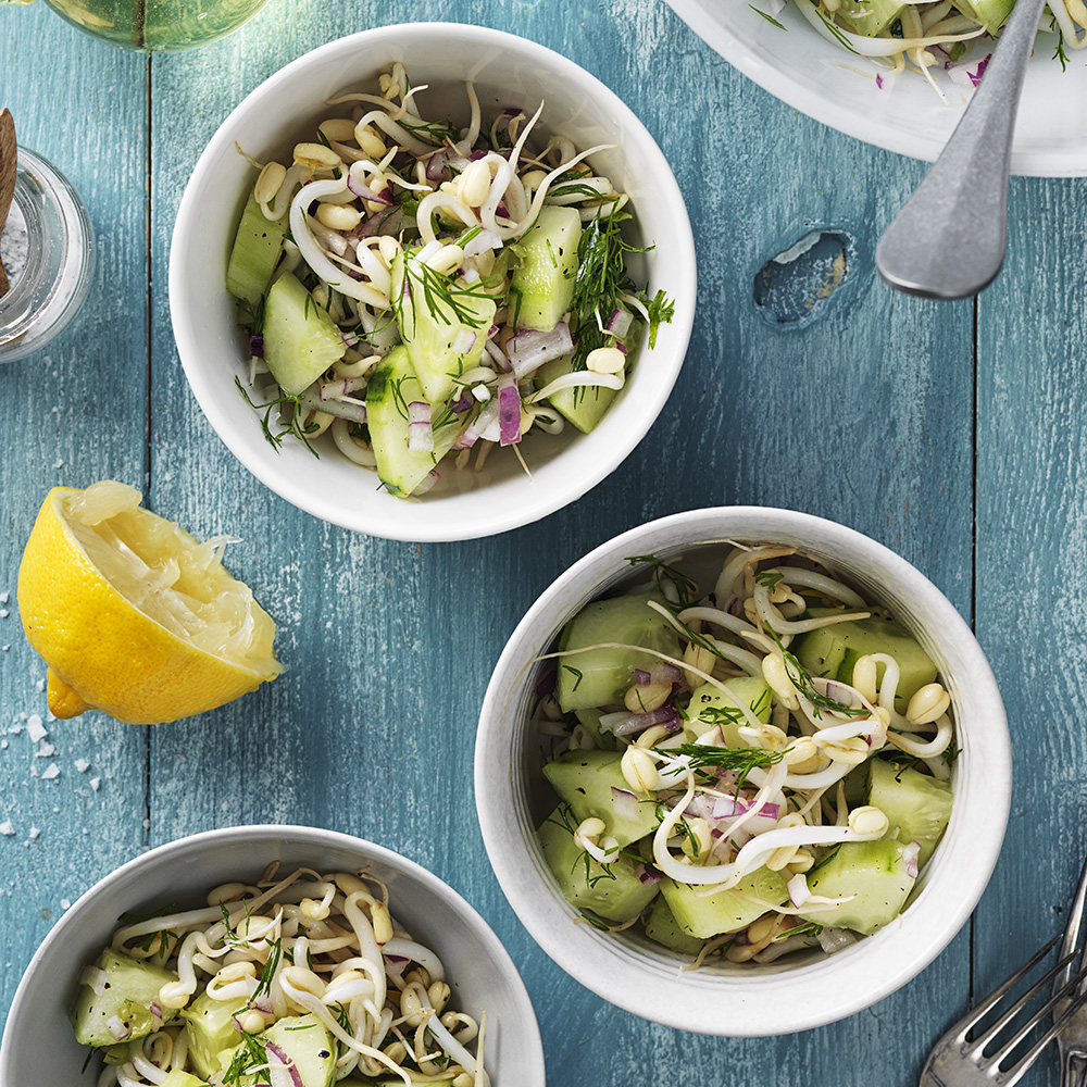 Gurksallad med rödlök och böngroddar
