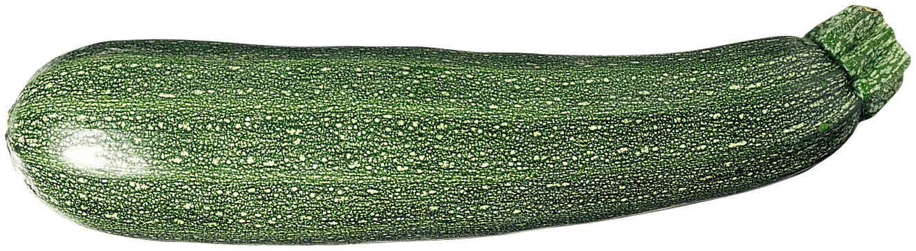 Zucchini Eko