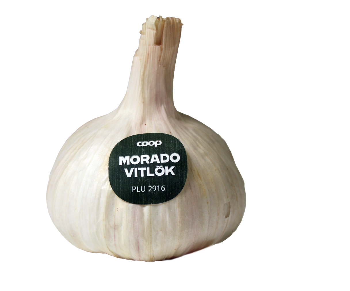 Vitlök