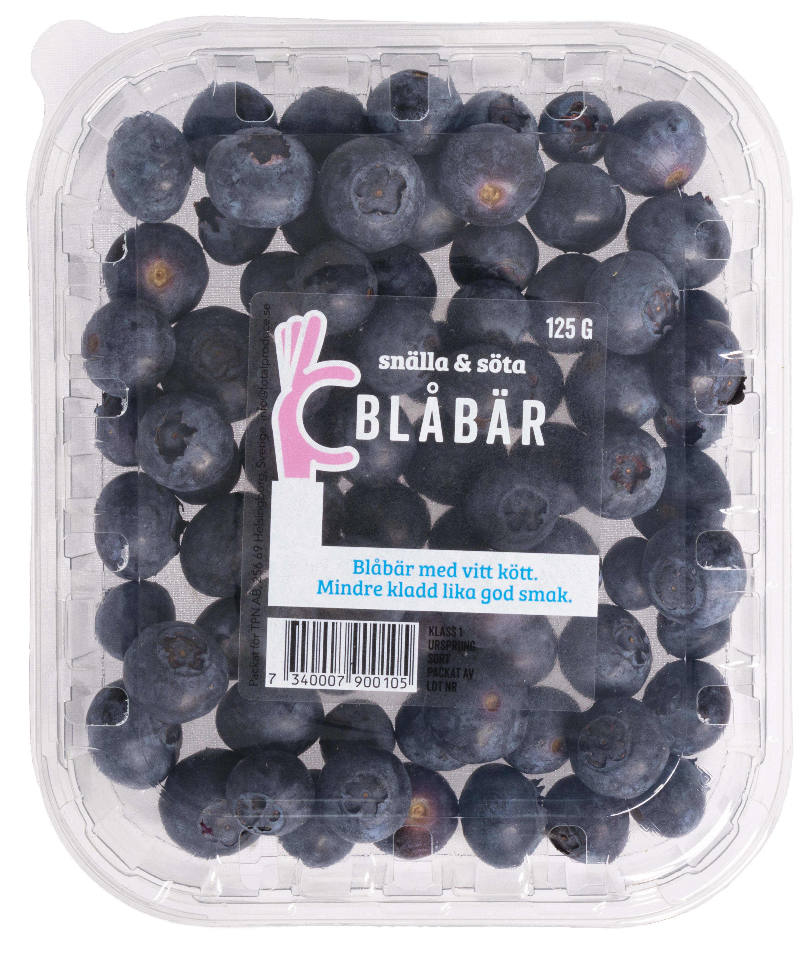 Blåbär