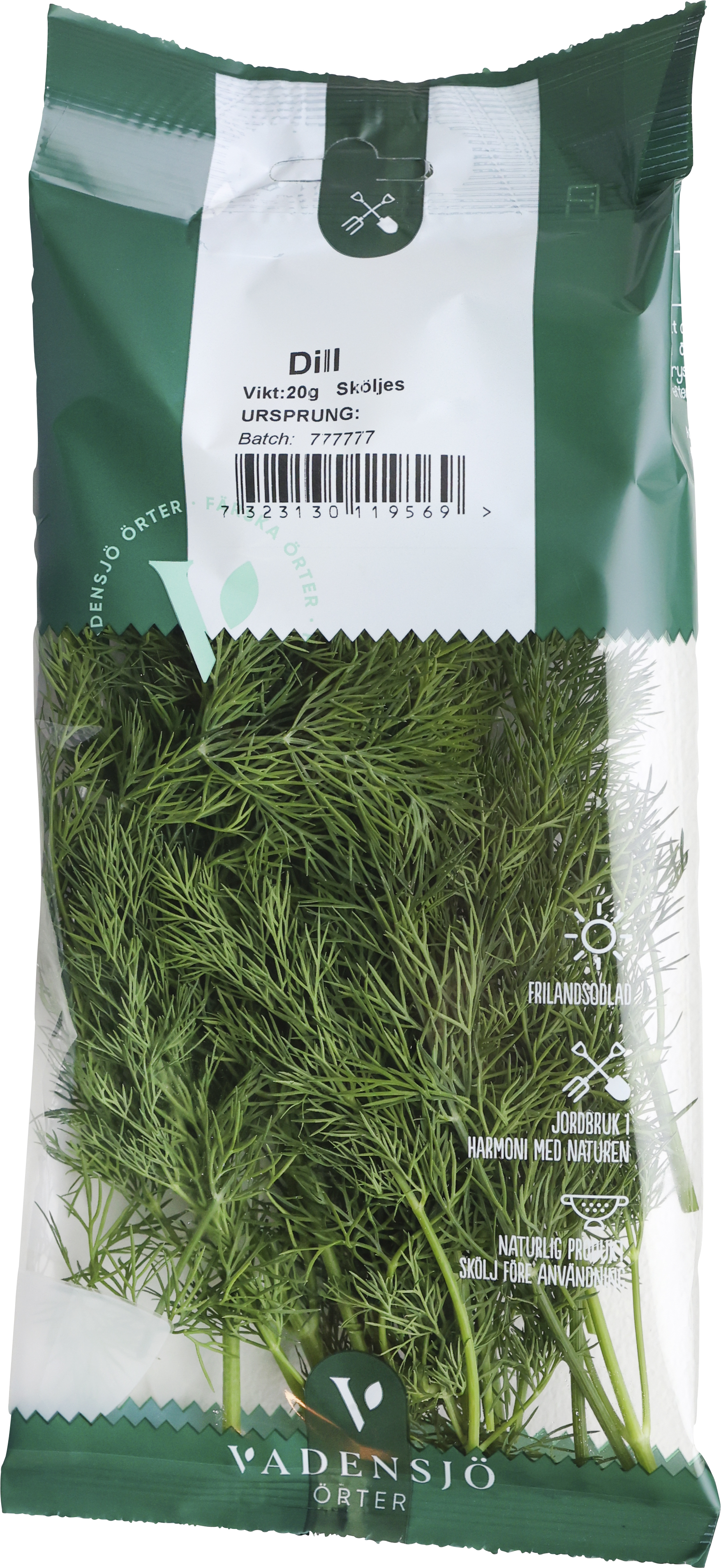 Dill