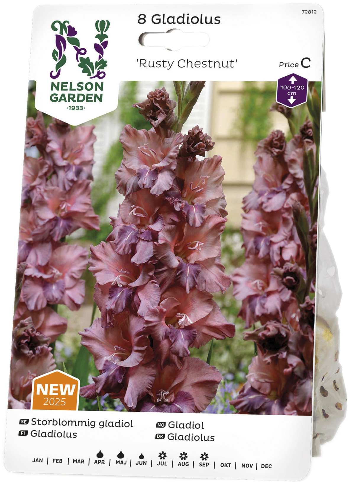 Vårlök Gladiol Storblommig Rusty Chestnut