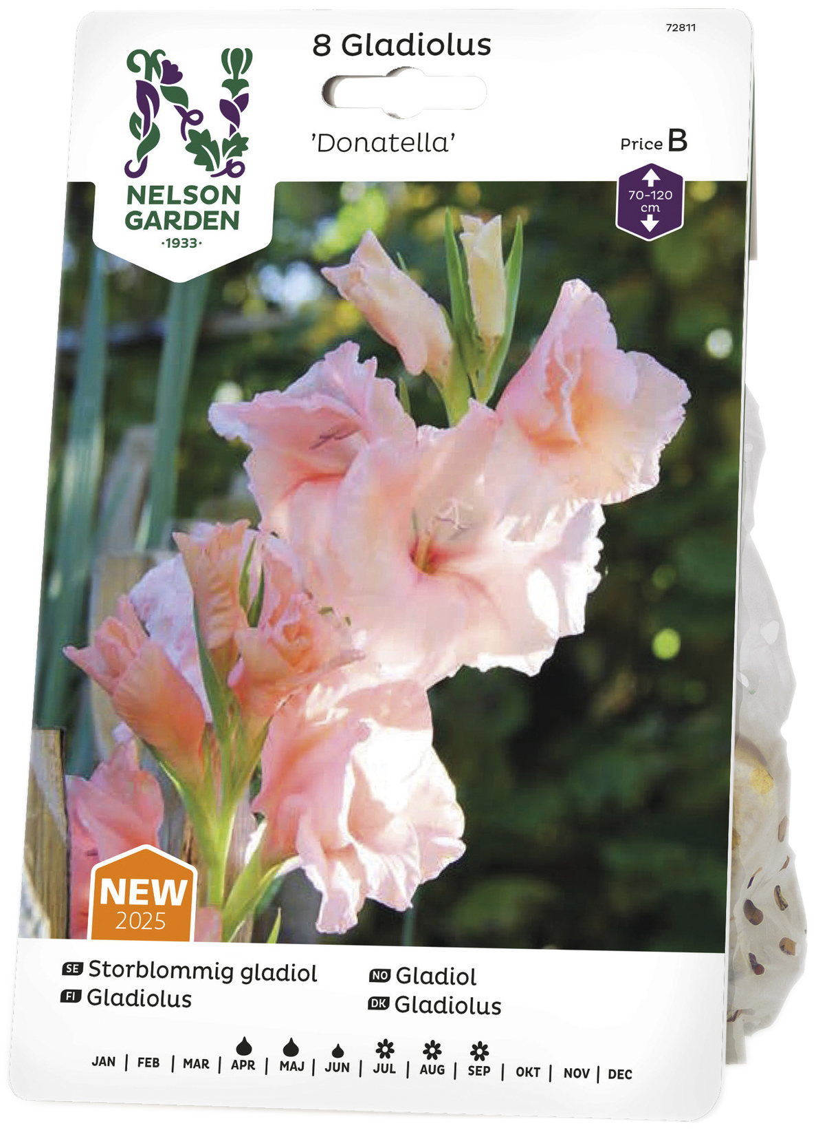 Vårlök Gladiol Storblommig Donatella