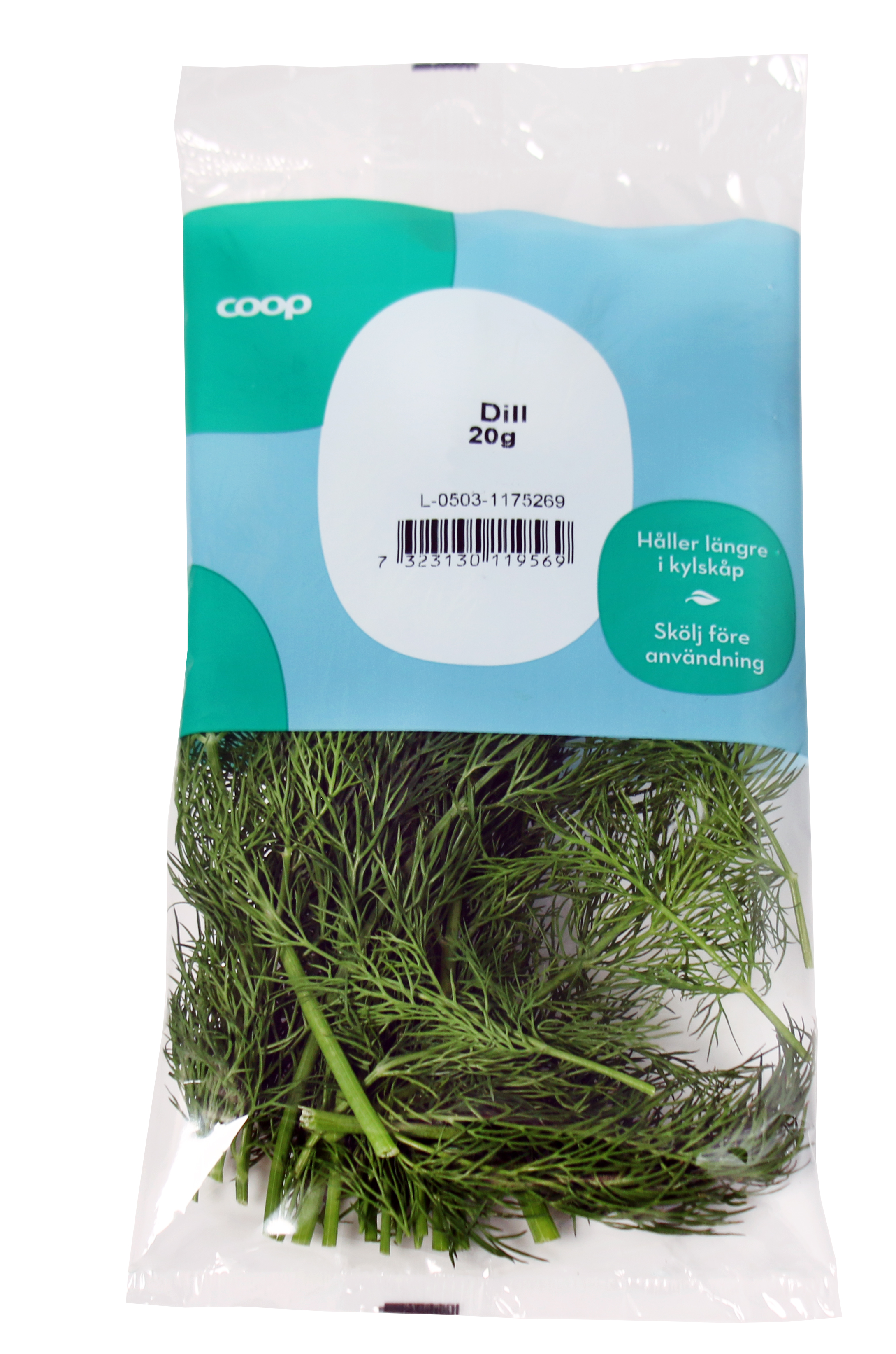 Dill