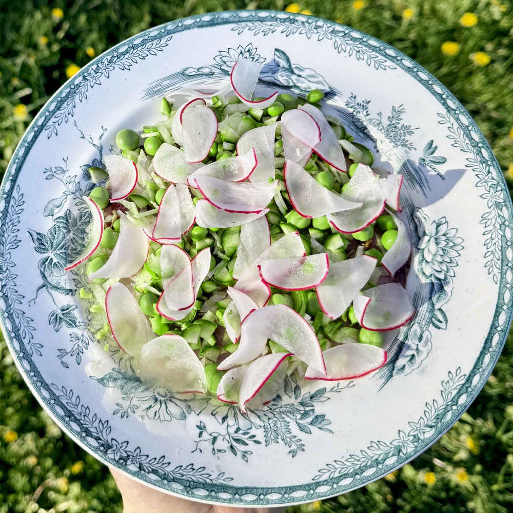 Picklad makrill med primörer