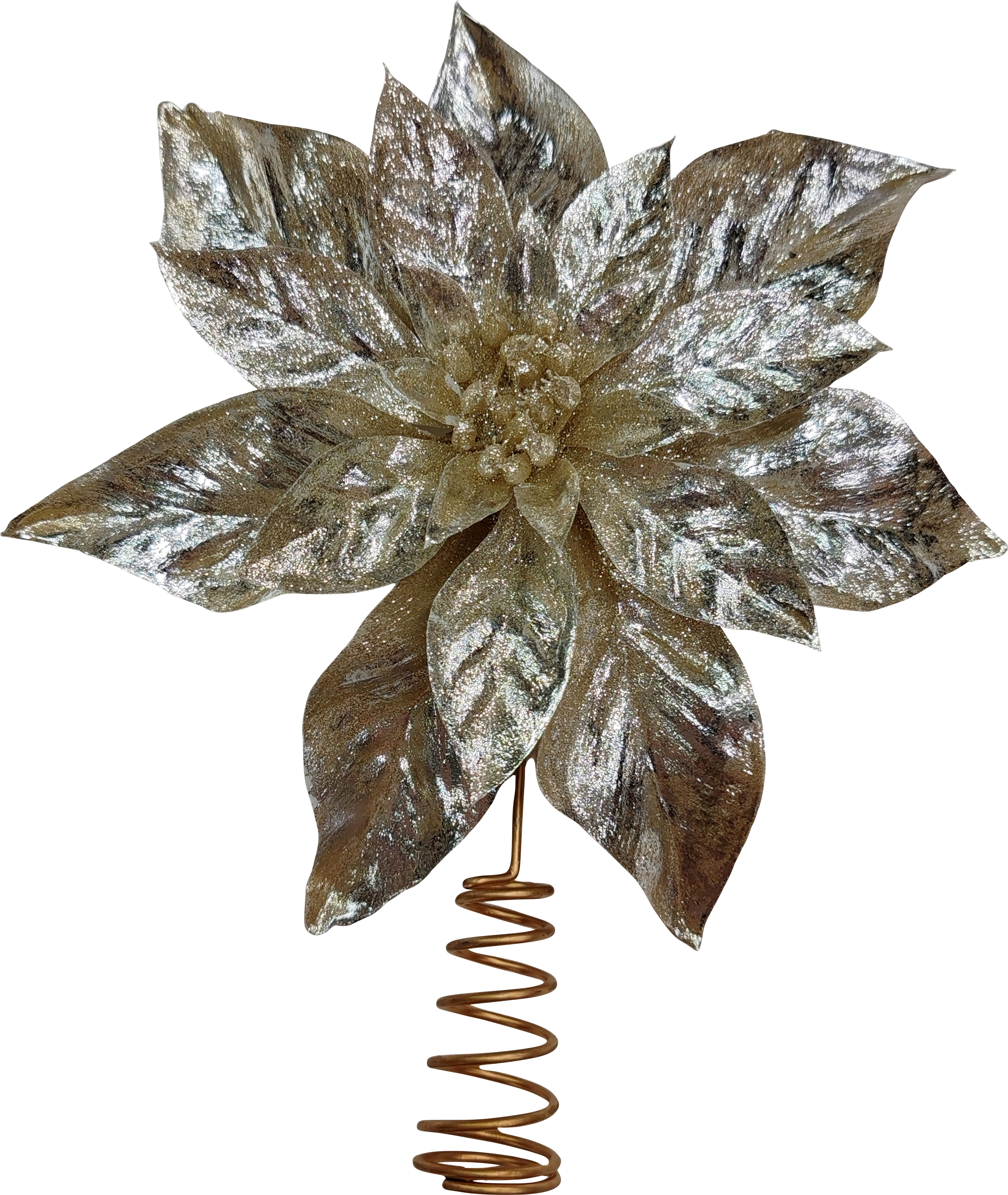 Toppstjärna amaryllis champagne