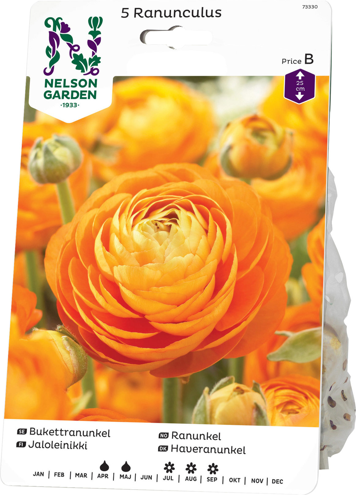 Vårlök Ranunkel Orange