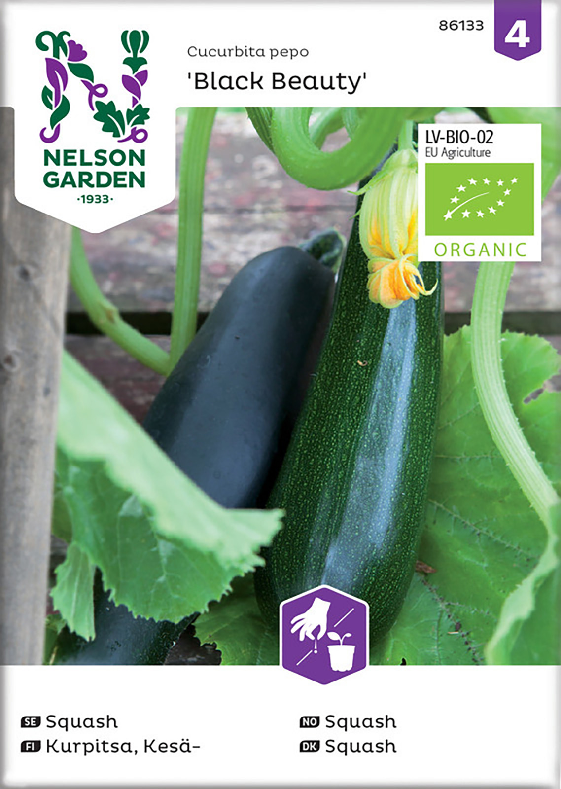 Squash Black Beauty Organic